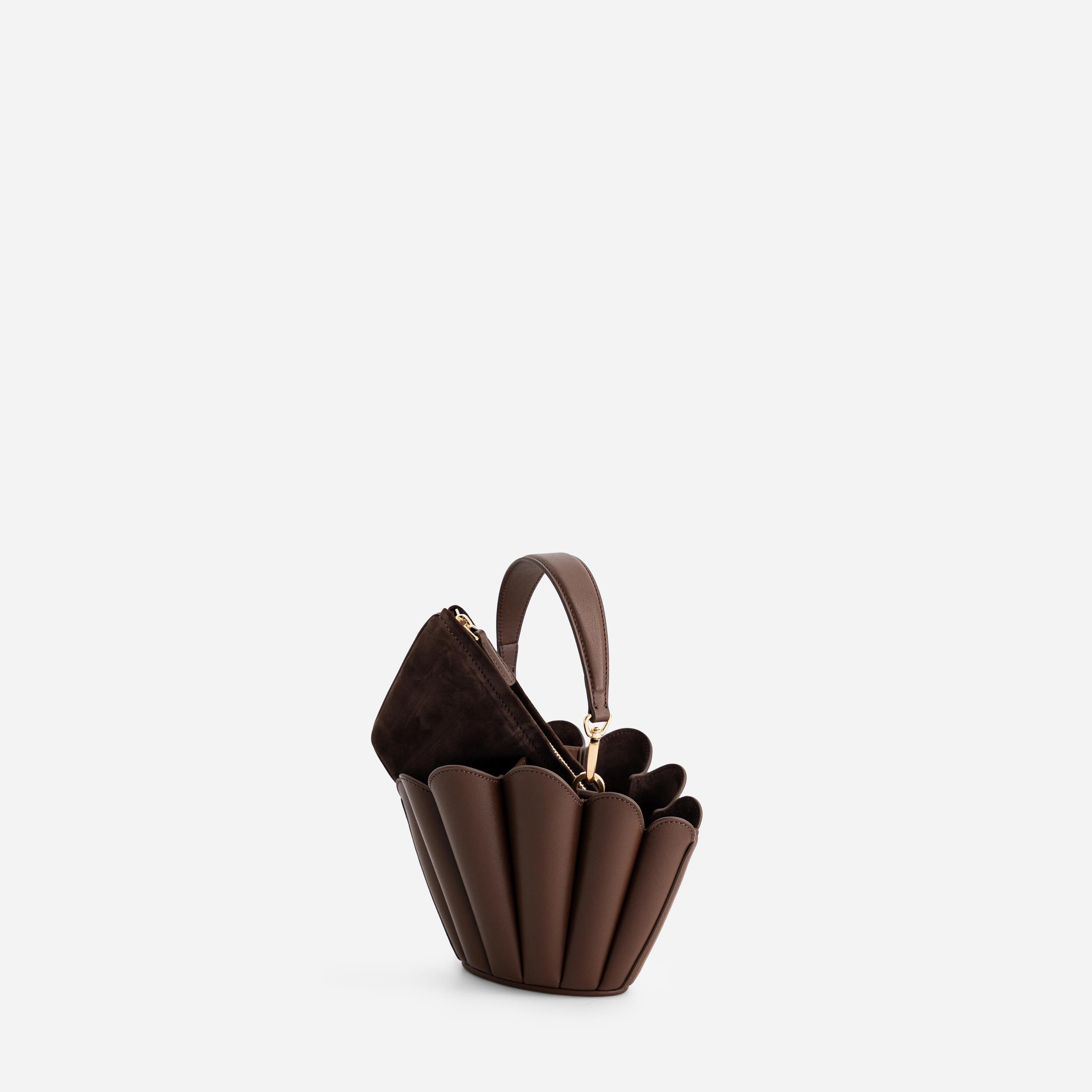 Micro Seashell - Espresso